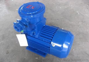 隔爆型三相異步電動(dòng)機(jī)價(jià)格、廠家與圖片詳解 機(jī)械用電動(dòng)機(jī)選購(gòu)指南